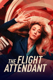خدمه  پرواز / The Flight Attendant