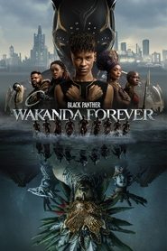 پلنگ سیاه: واکاندا برای همیشه / Black Panther: Wakanda Forev...